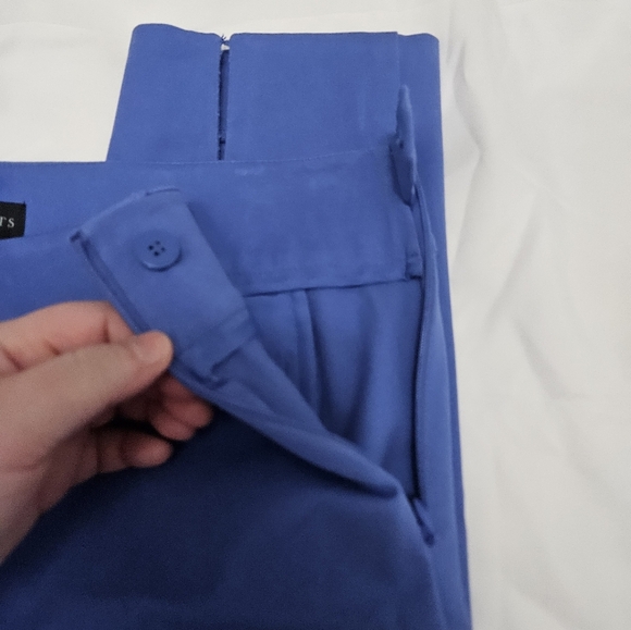 Talbots Blue Chatham Ankle Pants With Side Zip! - Picture 4 of 7
